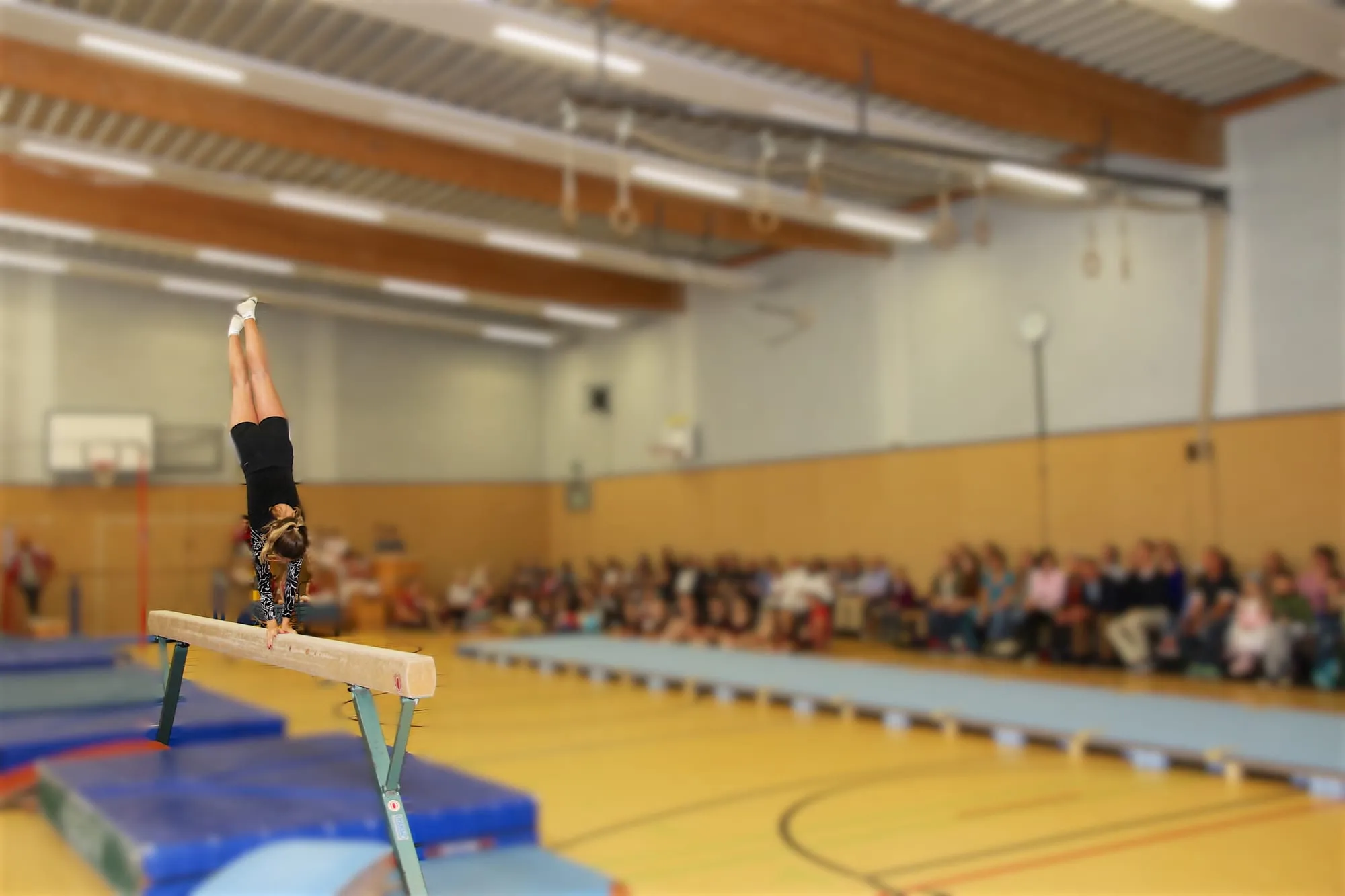 Männer und Frauen mit Reck- und Balkenshow