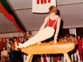Kreisflankenwettbewerb 1984